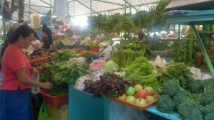 philippine vegetables expat living